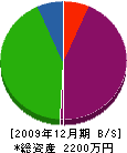 永野土建 貸借対照表 2009年12月期