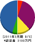櫻木ランド 貸借対照表 2011年3月期