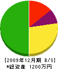 宮川塗装店 貸借対照表 2009年12月期