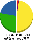 鎌田電気水道 貸借対照表 2012年3月期