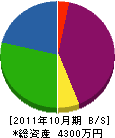 岡野造園土木 貸借対照表 2011年10月期