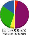 松本電工 貸借対照表 2010年6月期