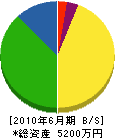 佐藤商会 貸借対照表 2010年6月期