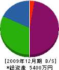 錦工務店 貸借対照表 2009年12月期