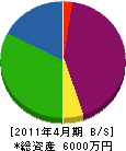 竹内組 貸借対照表 2011年4月期