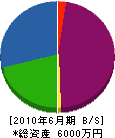 鈴木水道設備 貸借対照表 2010年6月期