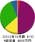 藤蔵建設 貸借対照表 2012年10月期
