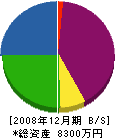 新日本興業 貸借対照表 2008年12月期