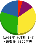 大德電設 貸借対照表 2008年10月期