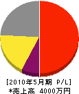 神埼電設 損益計算書 2010年5月期