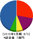 田崎製作所 貸借対照表 2010年8月期