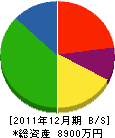 北島屋 貸借対照表 2011年12月期