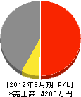 成田産業 損益計算書 2012年6月期