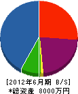 奥田重機 貸借対照表 2012年6月期