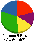 吉野塗装 貸借対照表 2009年9月期