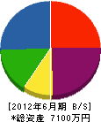 北田建設 貸借対照表 2012年6月期