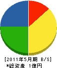 大塚組 貸借対照表 2011年5月期