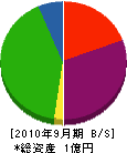 新田興業 貸借対照表 2010年9月期