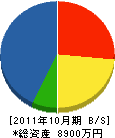 上野工業 貸借対照表 2011年10月期