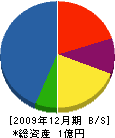 柴田組 貸借対照表 2009年12月期