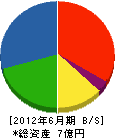 日昇工業 貸借対照表 2012年6月期