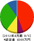 岩井組 貸借対照表 2012年4月期