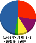 吉田組 貸借対照表 2009年6月期