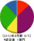 藤井技建工業 貸借対照表 2012年4月期
