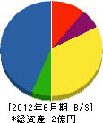 大槻興業 貸借対照表 2012年6月期