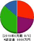 日田文化シャッター 貸借対照表 2010年6月期