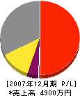 川井石材 損益計算書 2007年12月期
