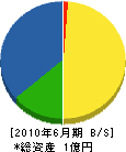 井上硝子 貸借対照表 2010年6月期