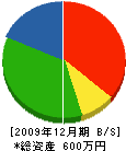 石井電気工業所 貸借対照表 2009年12月期