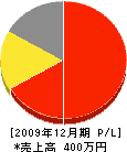 弥津電工 損益計算書 2009年12月期
