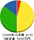 羽根建設 貸借対照表 2009年10月期