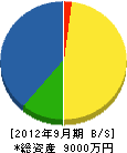 東豆開発 貸借対照表 2012年9月期