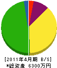 川尻実業 貸借対照表 2011年4月期