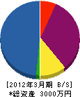 大田組 貸借対照表 2012年3月期