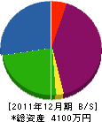 辛島組 貸借対照表 2011年12月期
