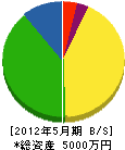 南長崎新電設 貸借対照表 2012年5月期