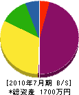武田建設 貸借対照表 2010年7月期