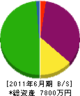 ホソカワ土木 貸借対照表 2011年6月期