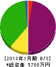 大野ポンプ店 貸借対照表 2013年1月期