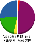 大島工芸 貸借対照表 2010年1月期