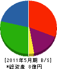 志田・金新 貸借対照表 2011年5月期