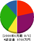 橋本土建 貸借対照表 2008年6月期