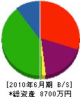 平成道路 貸借対照表 2010年6月期