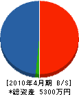 秋山電設 貸借対照表 2010年4月期