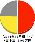 新井商店 損益計算書 2011年12月期