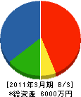 庭乃持田園 貸借対照表 2011年3月期